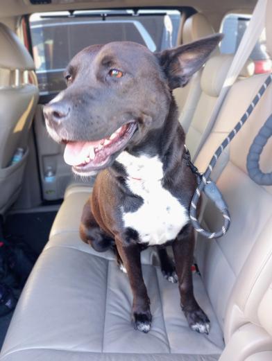 Ella — thumbnail 4