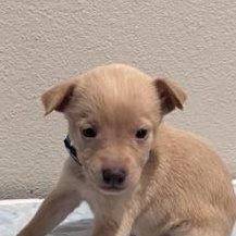 Serena — thumbnail 3