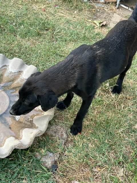 Nelly - courtesy post