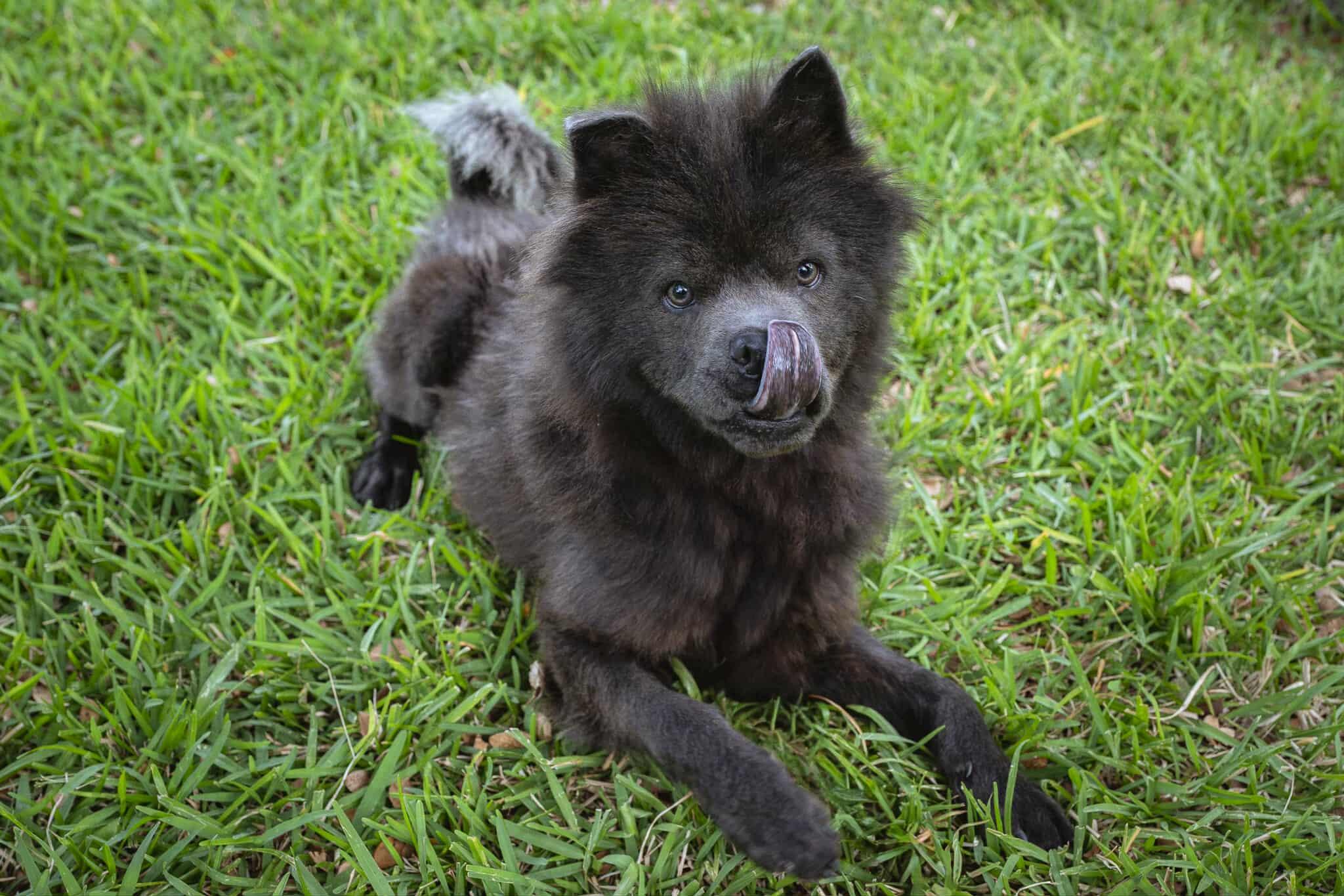 Cyrus Fka Theo Aka thumbnail 2