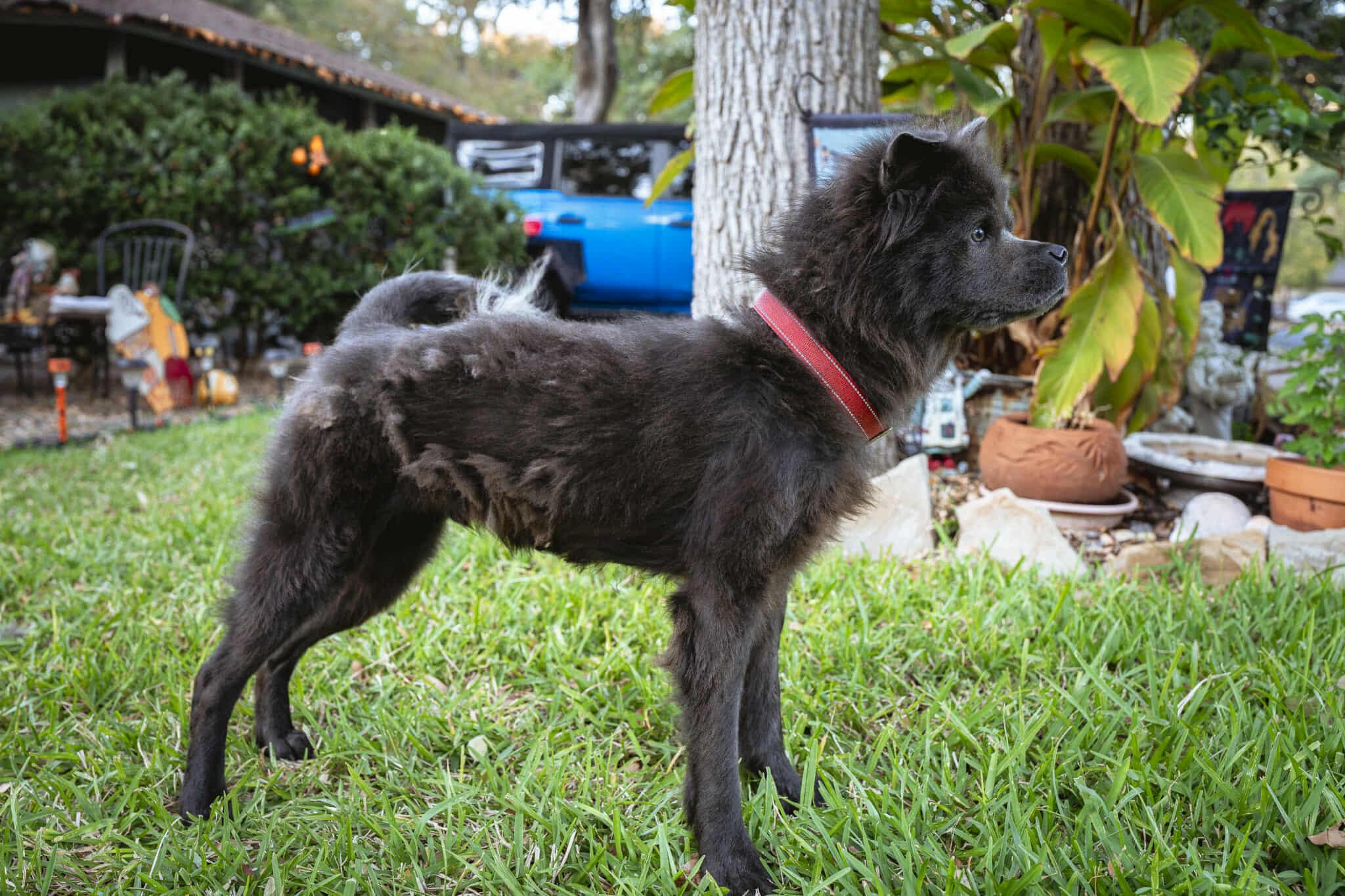 Cyrus Fka Theo Aka thumbnail 3