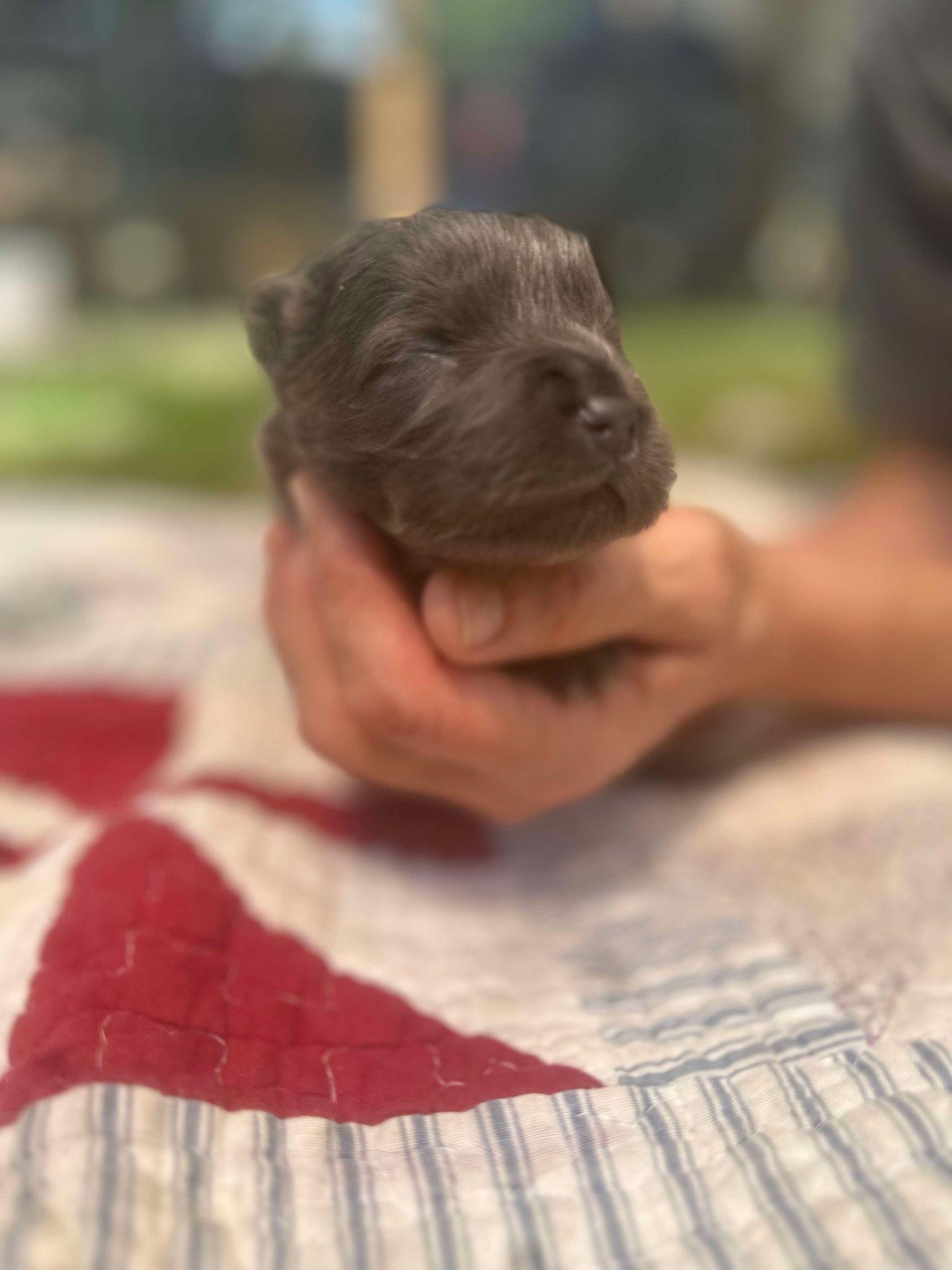 Cyrus Fka Theo Aka thumbnail 5