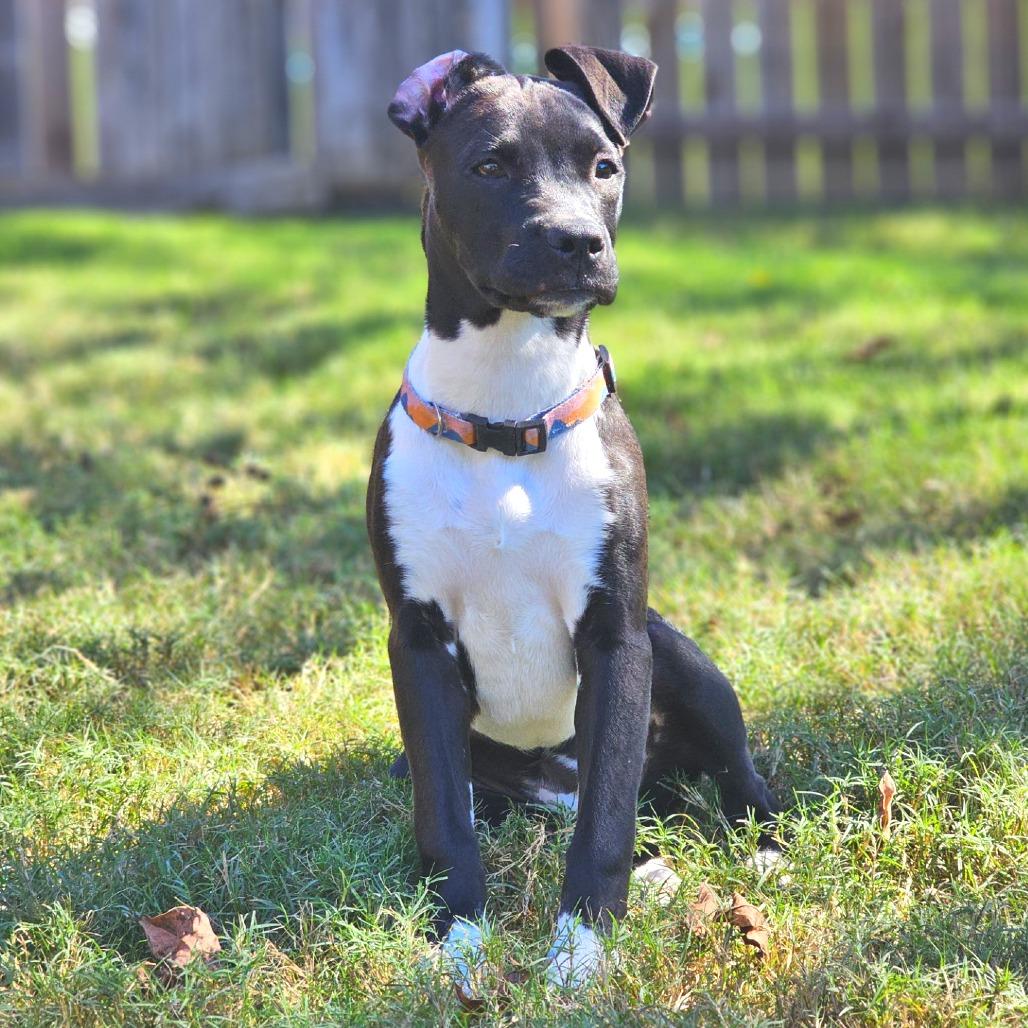 Chaos aka Betty Lu — thumbnail 3