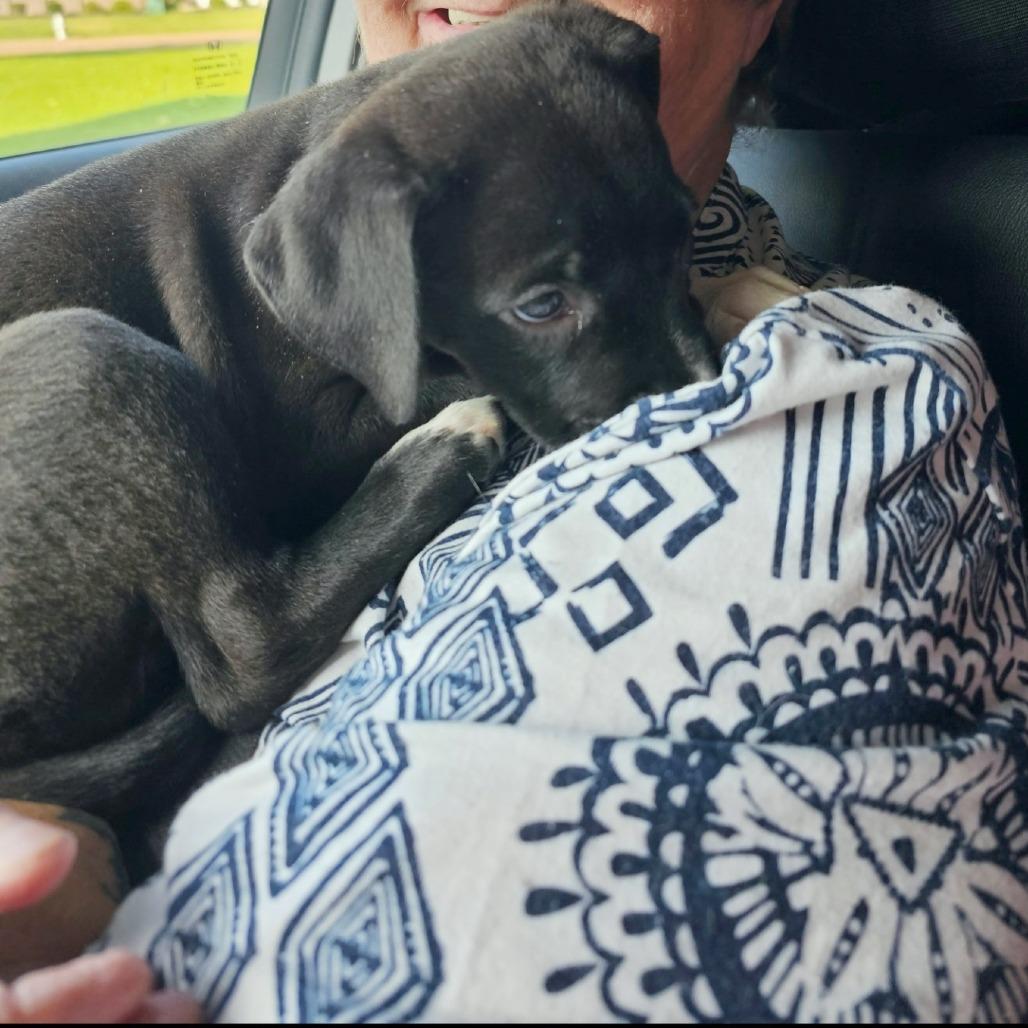 Chaos aka Betty Lu — thumbnail 4