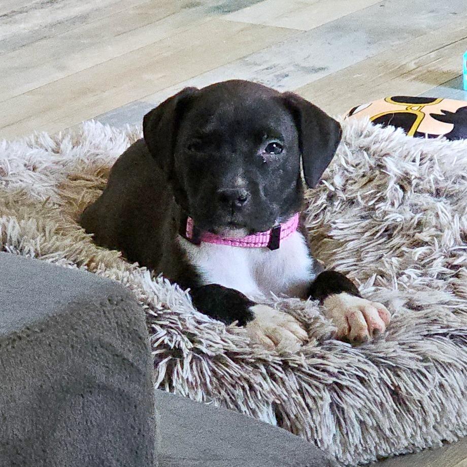 Chaos aka Betty Lu — thumbnail 5