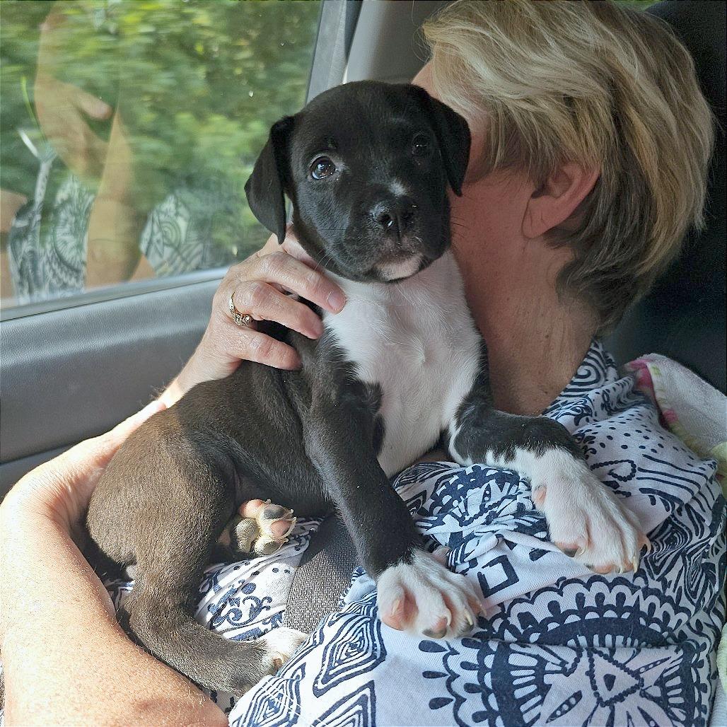 Chaos aka Betty Lu — thumbnail 6