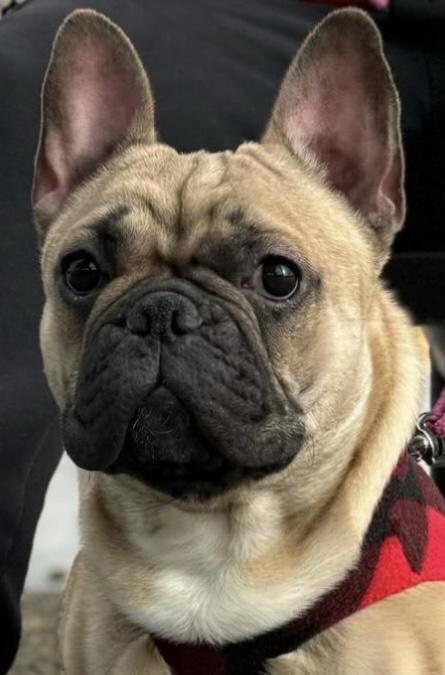 Kona