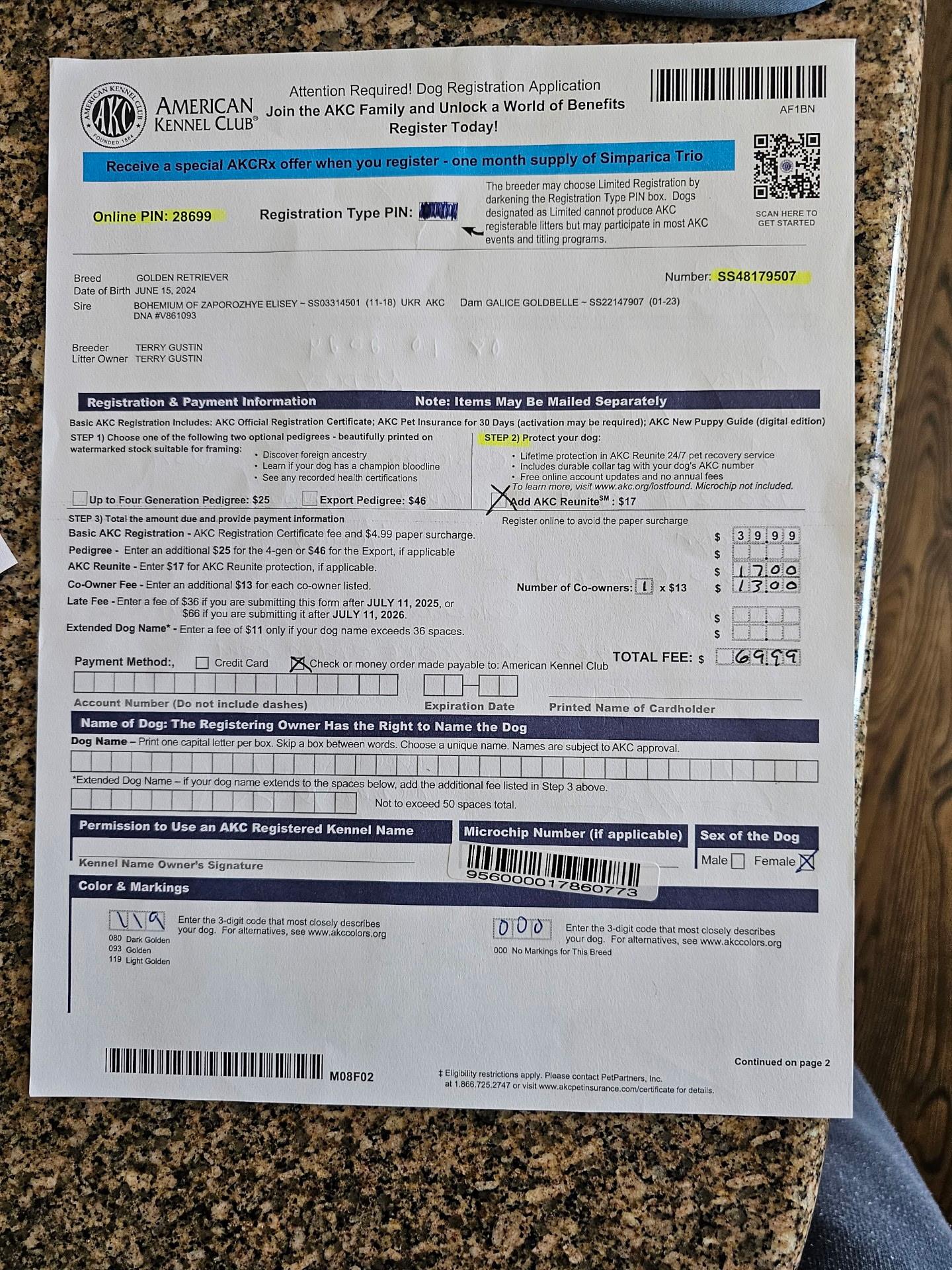 Nakia, a Adopted Golden Retriever in Westminster, CO image 2/3