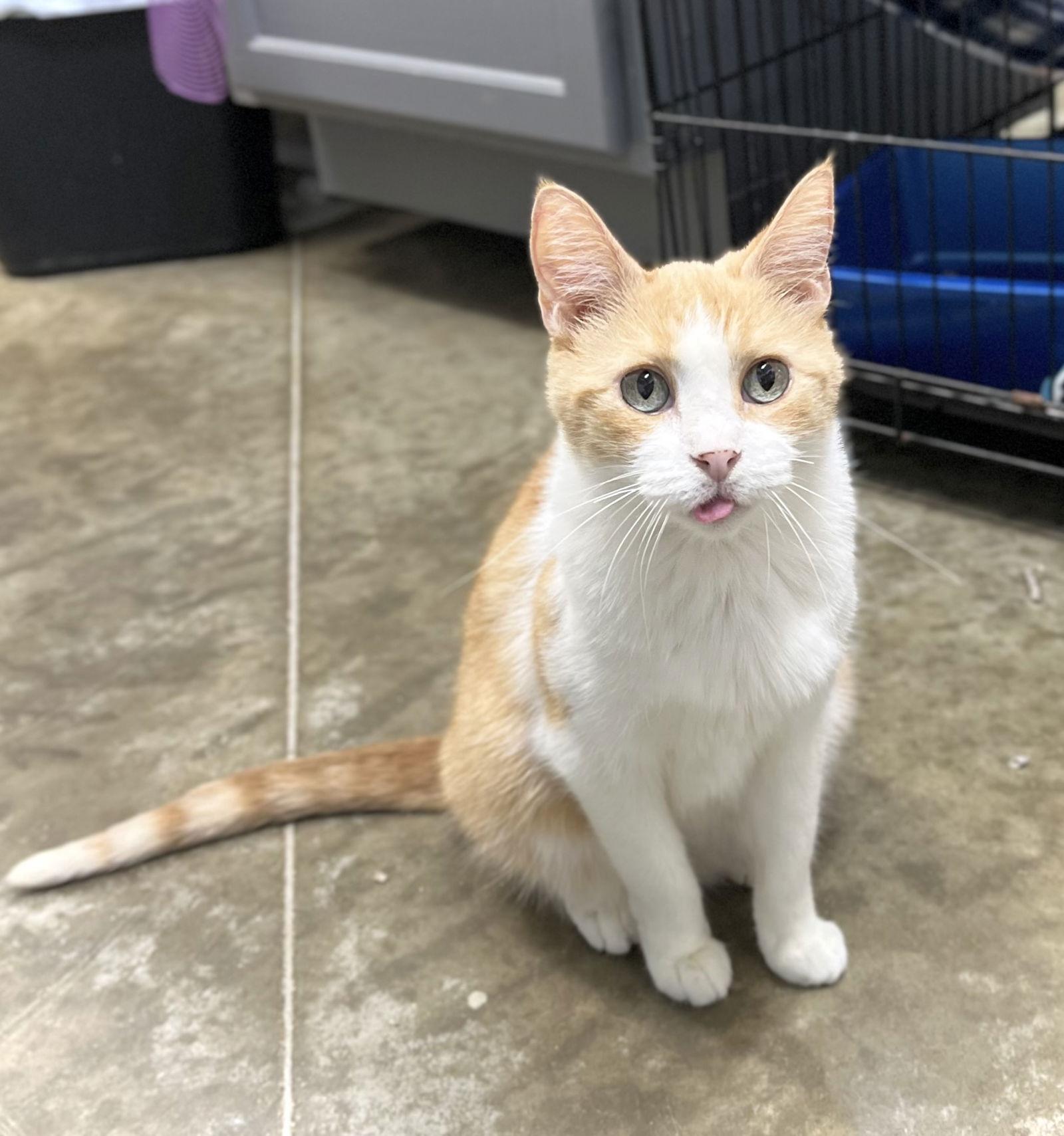 Sunny Girl — thumbnail 2