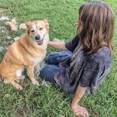 Mama, Adoptable, Senior Female Terrier.