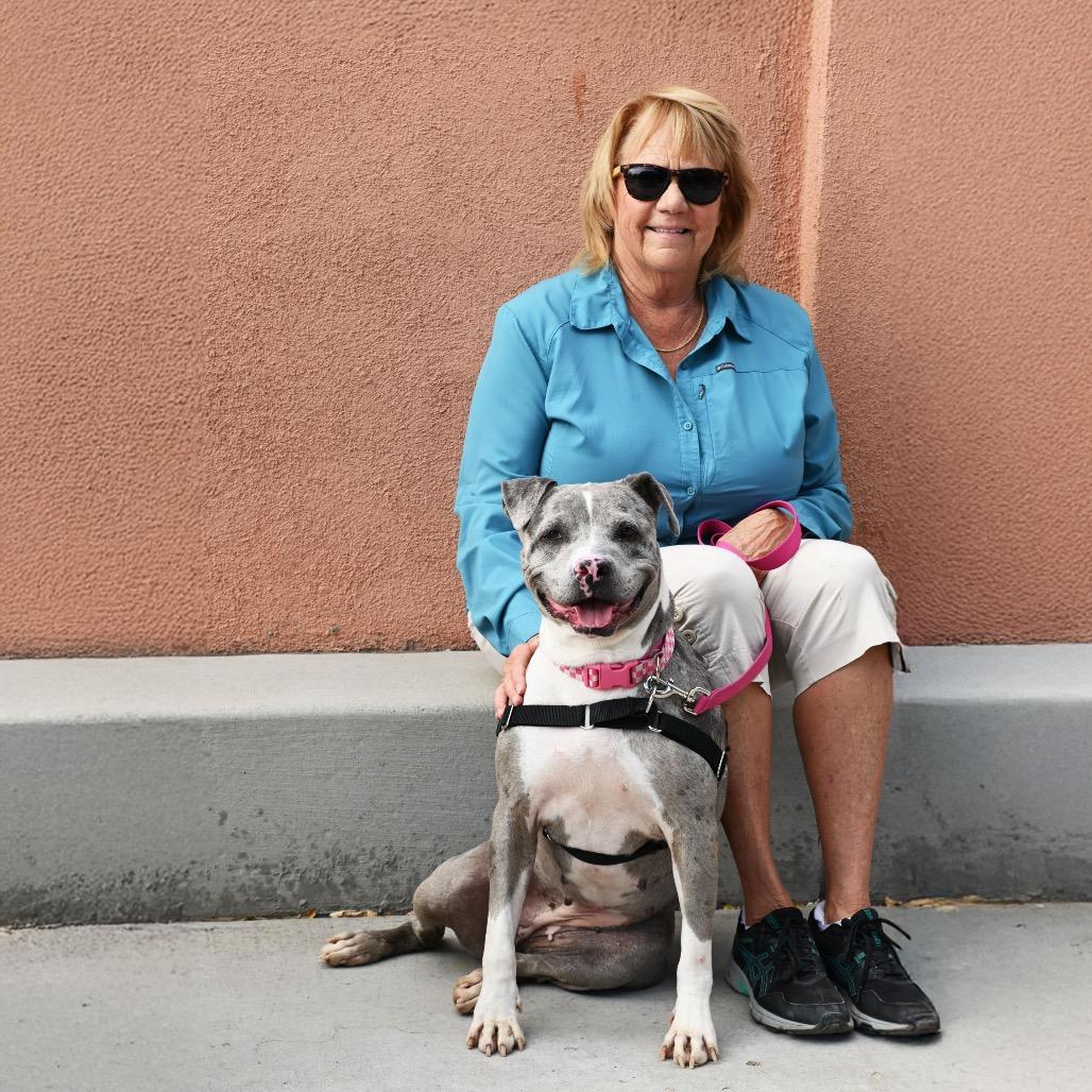 Enlarge Dahlia, a Adoptable mixed breed in Albuquerque, NM image 5/6