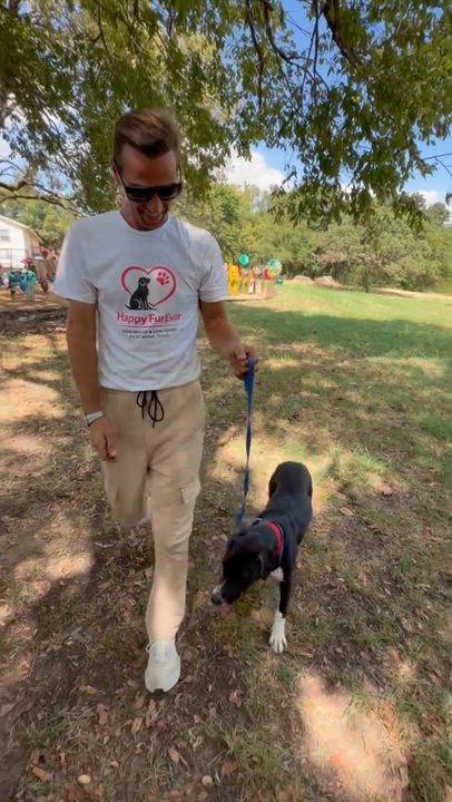 Enlarge Bindee Lou, a Adoptable mixed breed in Pilot Point, TX video 5/6