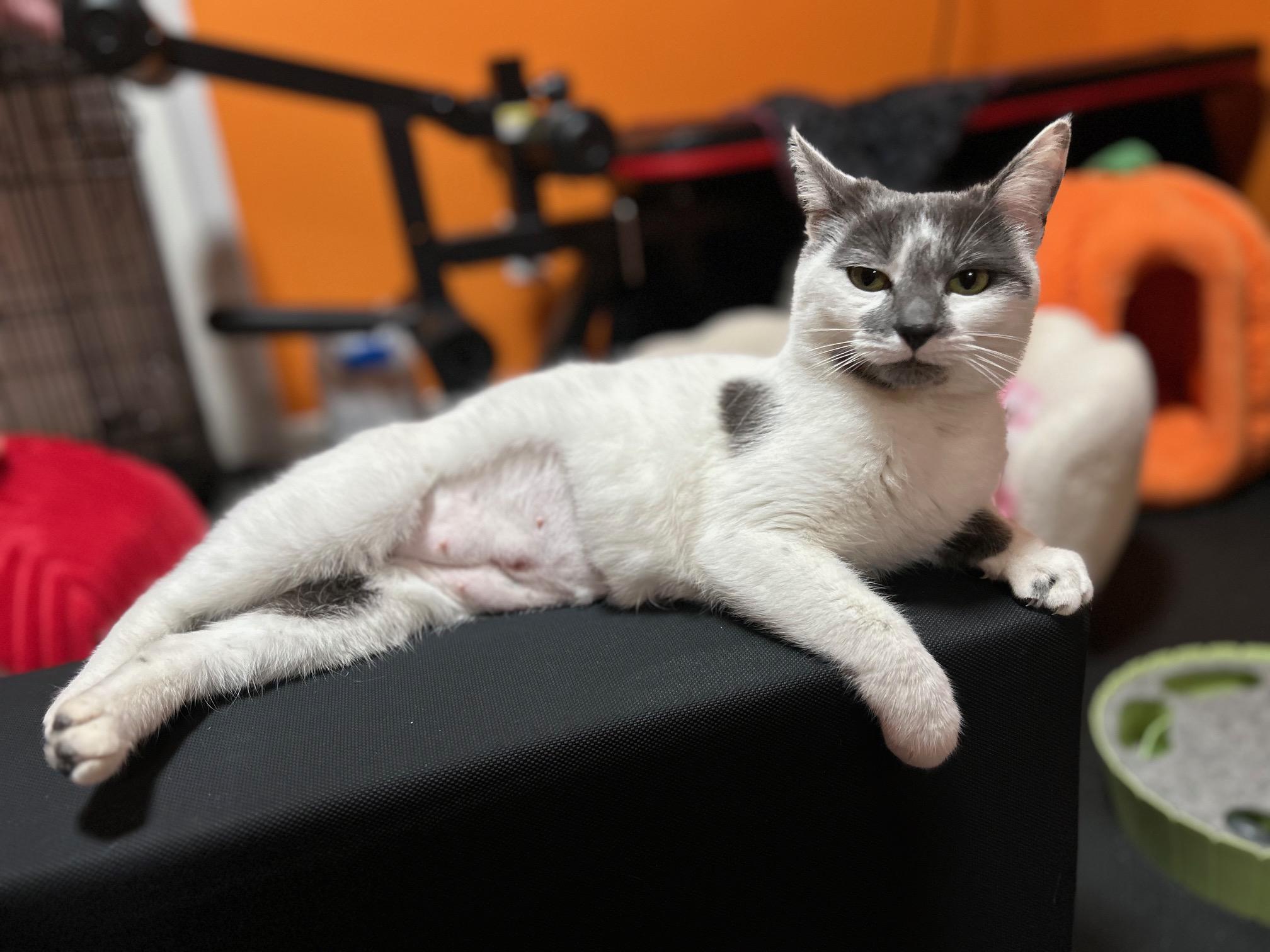 Margot — thumbnail 4