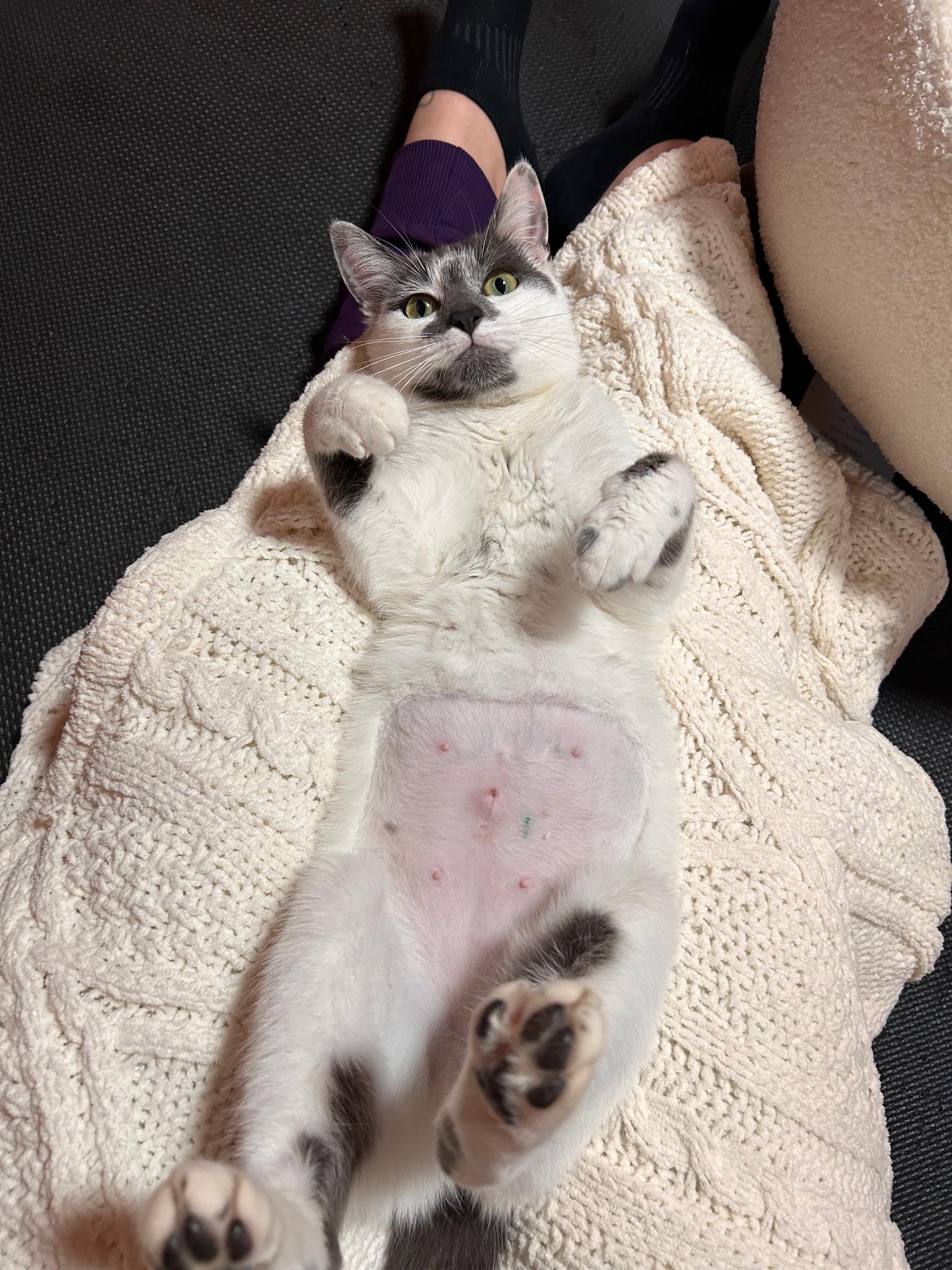 Margot — thumbnail 5