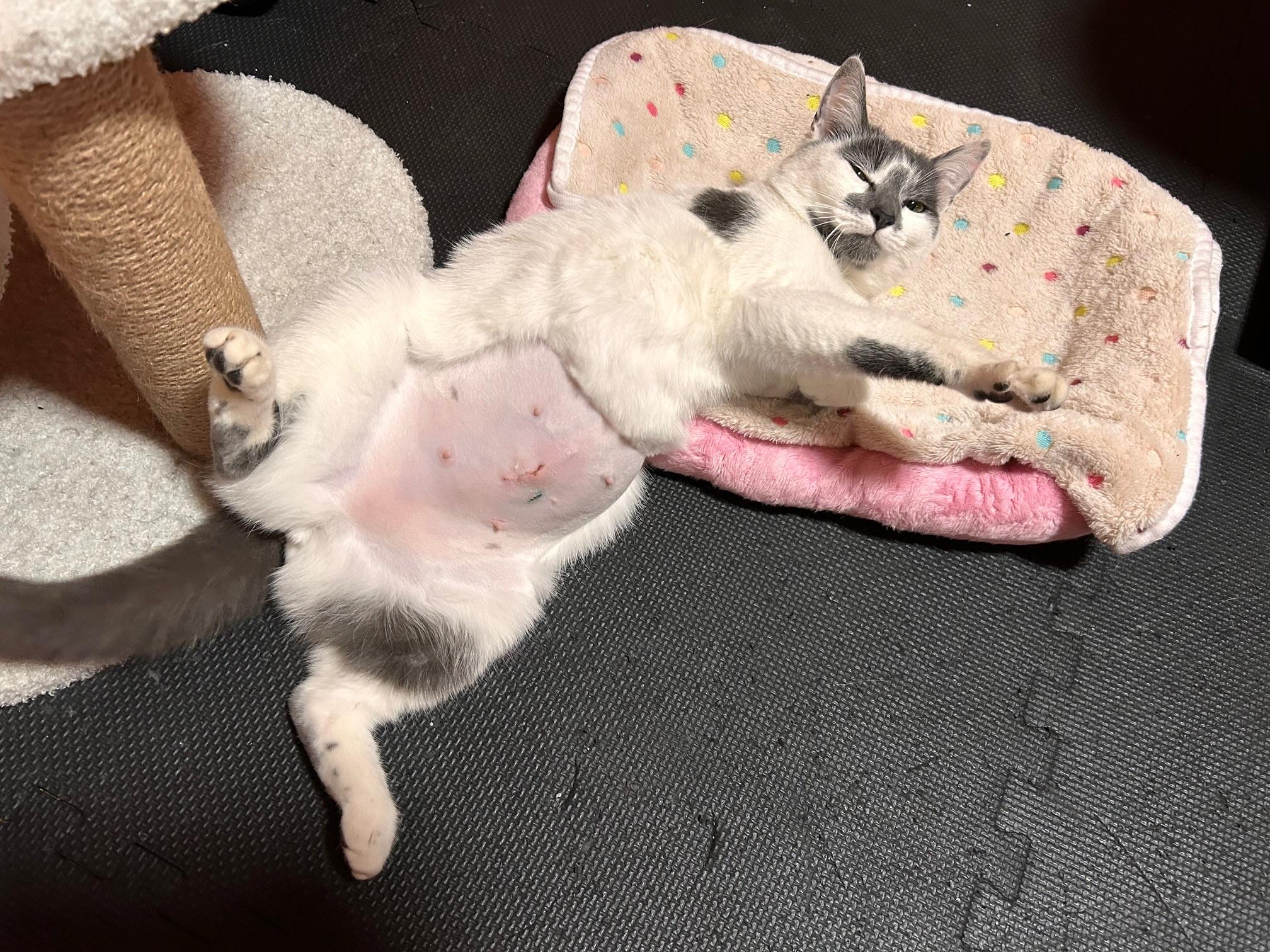 Margot — thumbnail 6