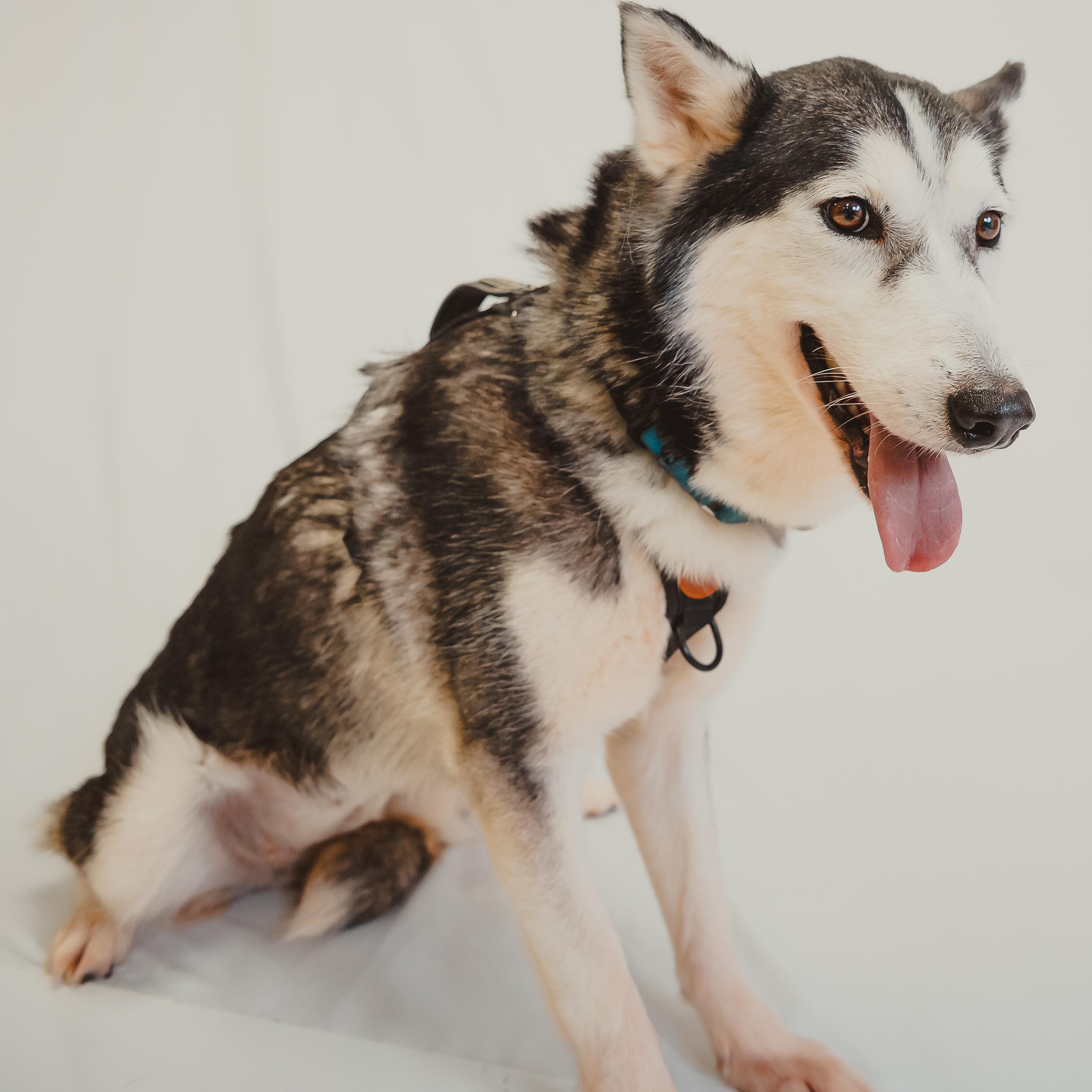 Colleen — thumbnail 6