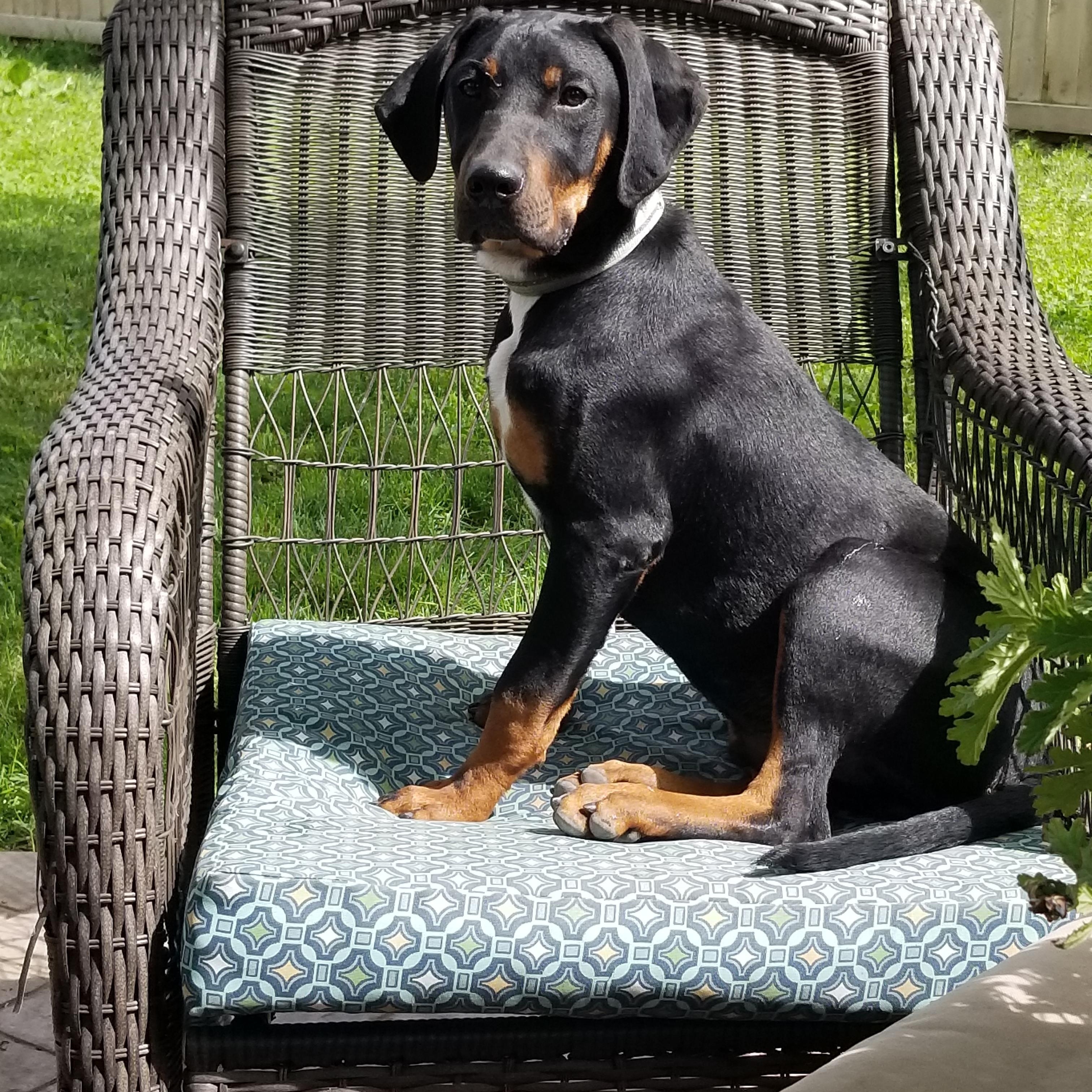 Cooper photo 3