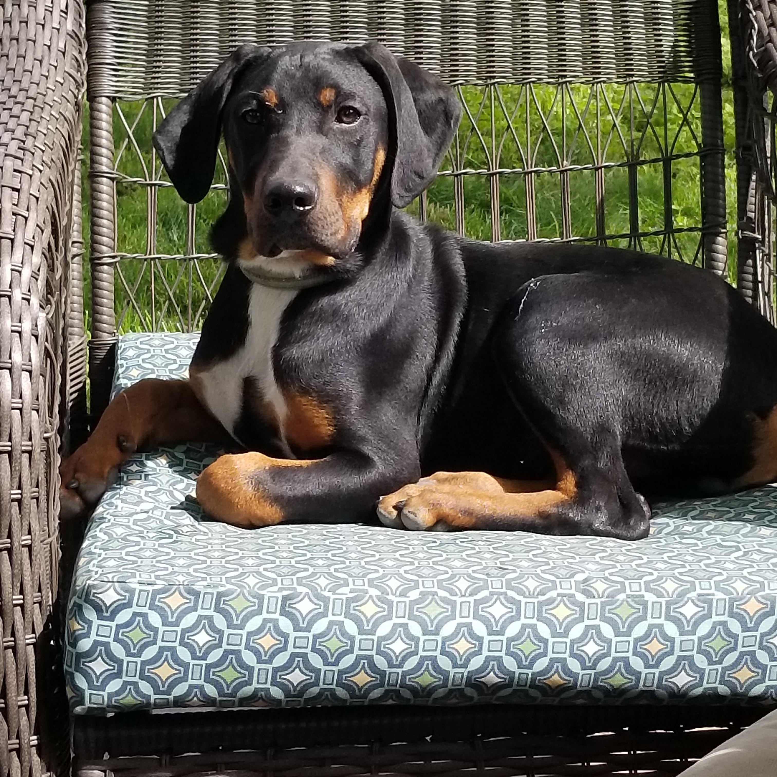 Cooper photo 4
