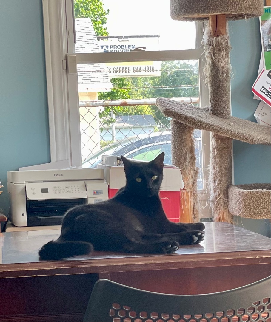 Harry — thumbnail 2