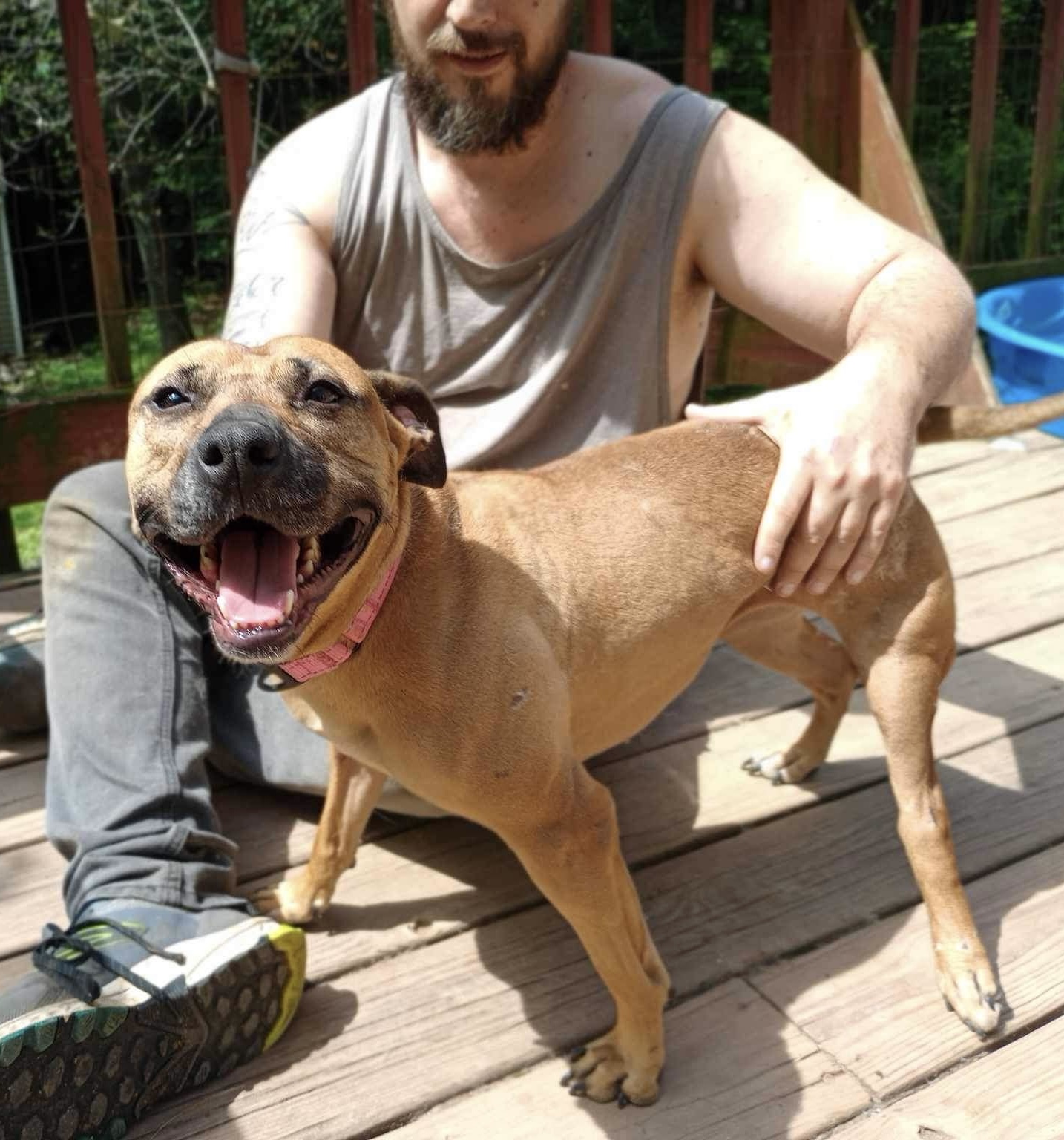 Reese photo 1