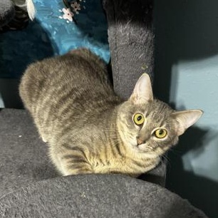 Delilah — thumbnail 2