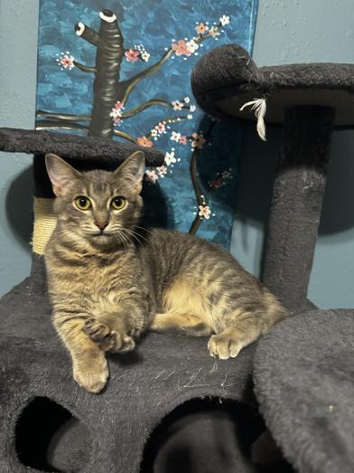 Delilah — thumbnail 3