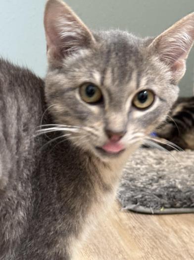 Delilah — thumbnail 4