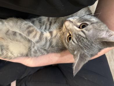 Delilah — thumbnail 5