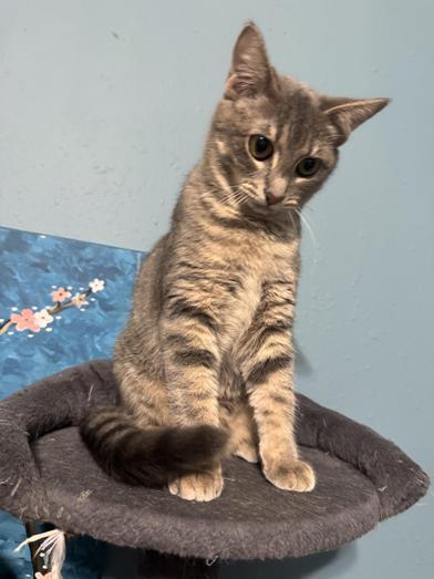 Delilah — thumbnail 6