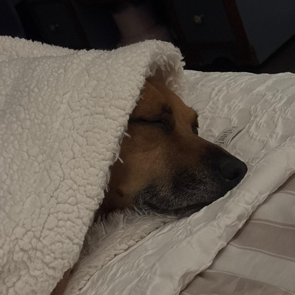 Honey — thumbnail 5