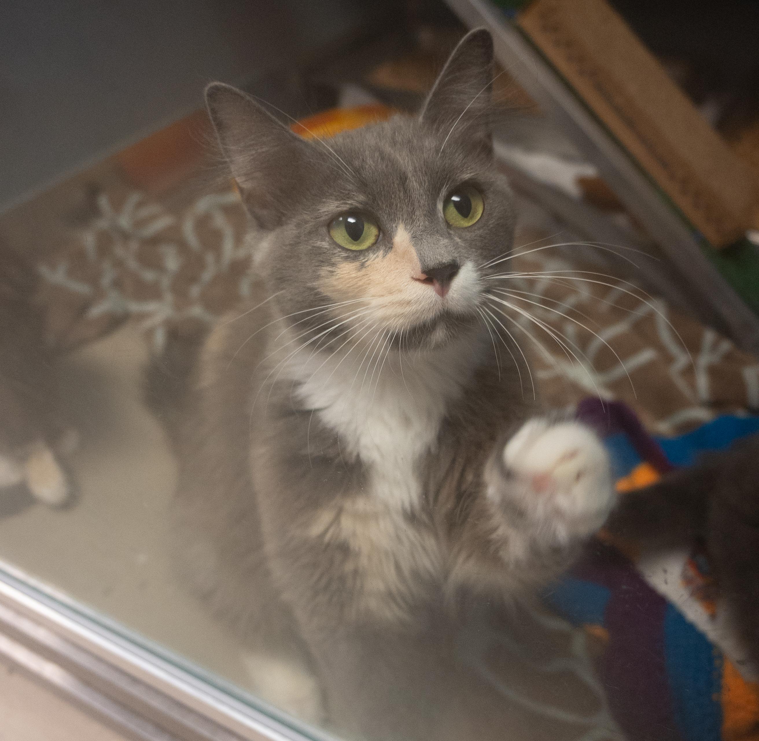 Photo of Lorelei