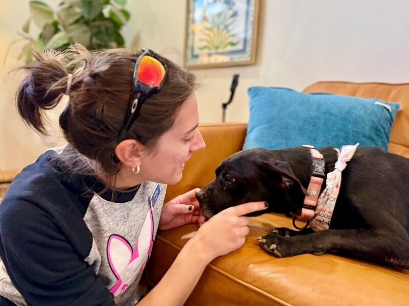 Blanche Nap Enthusiast — thumbnail 3