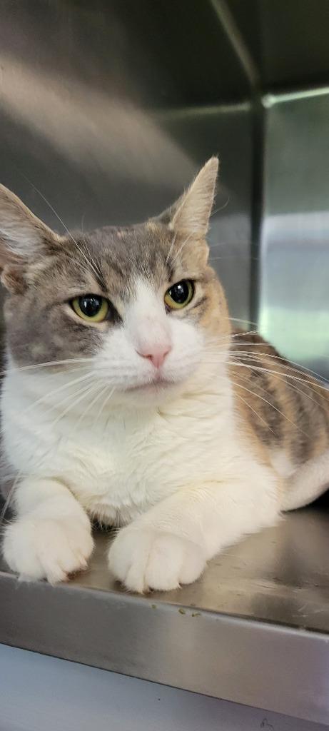 138-Caffeine - in foster