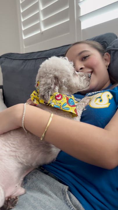 Enlarge Rocky, a ADOPTABLE mixed breed in Los Angeles, CA video 5/5