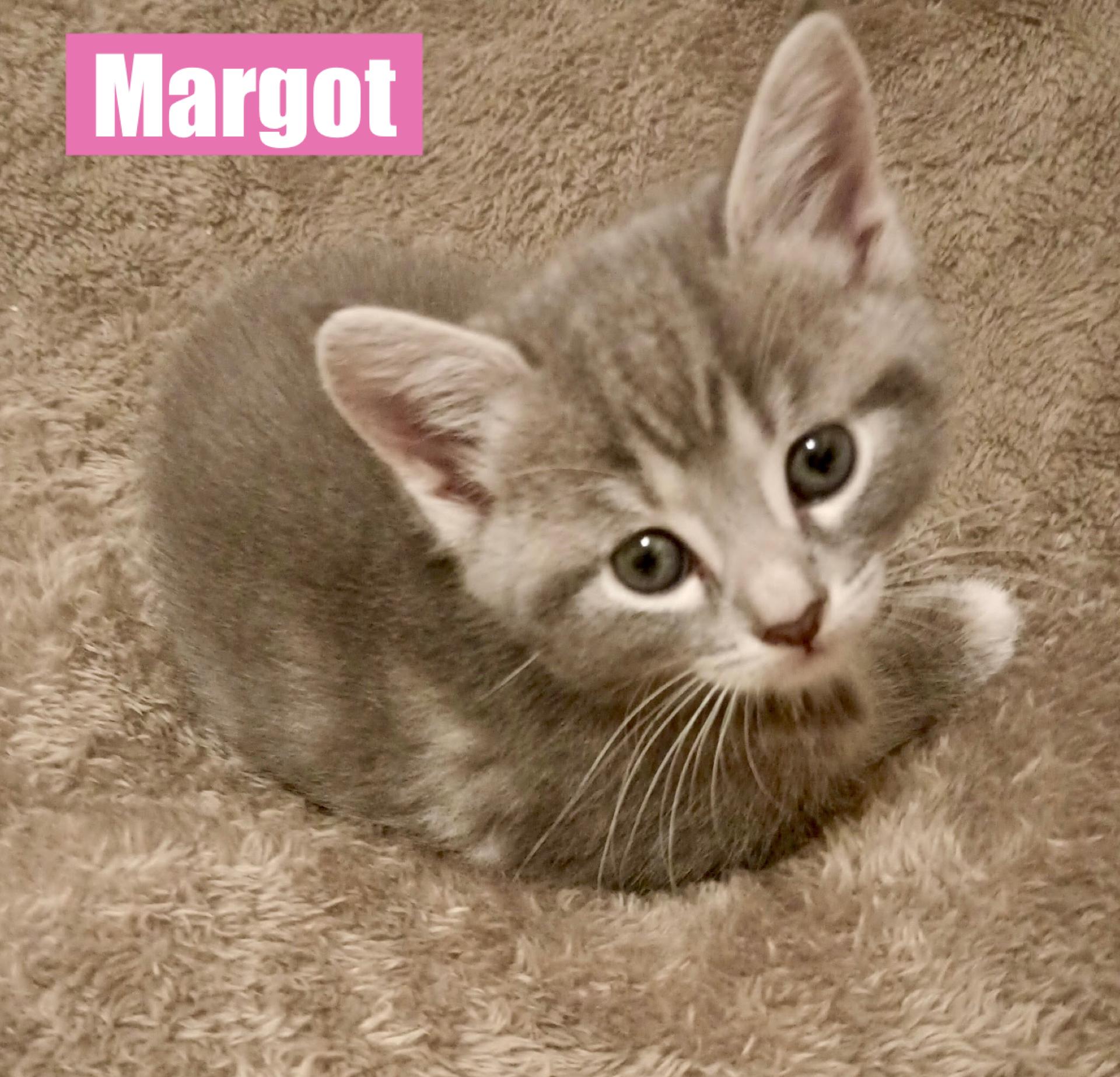 Margot, Baby Female unknown