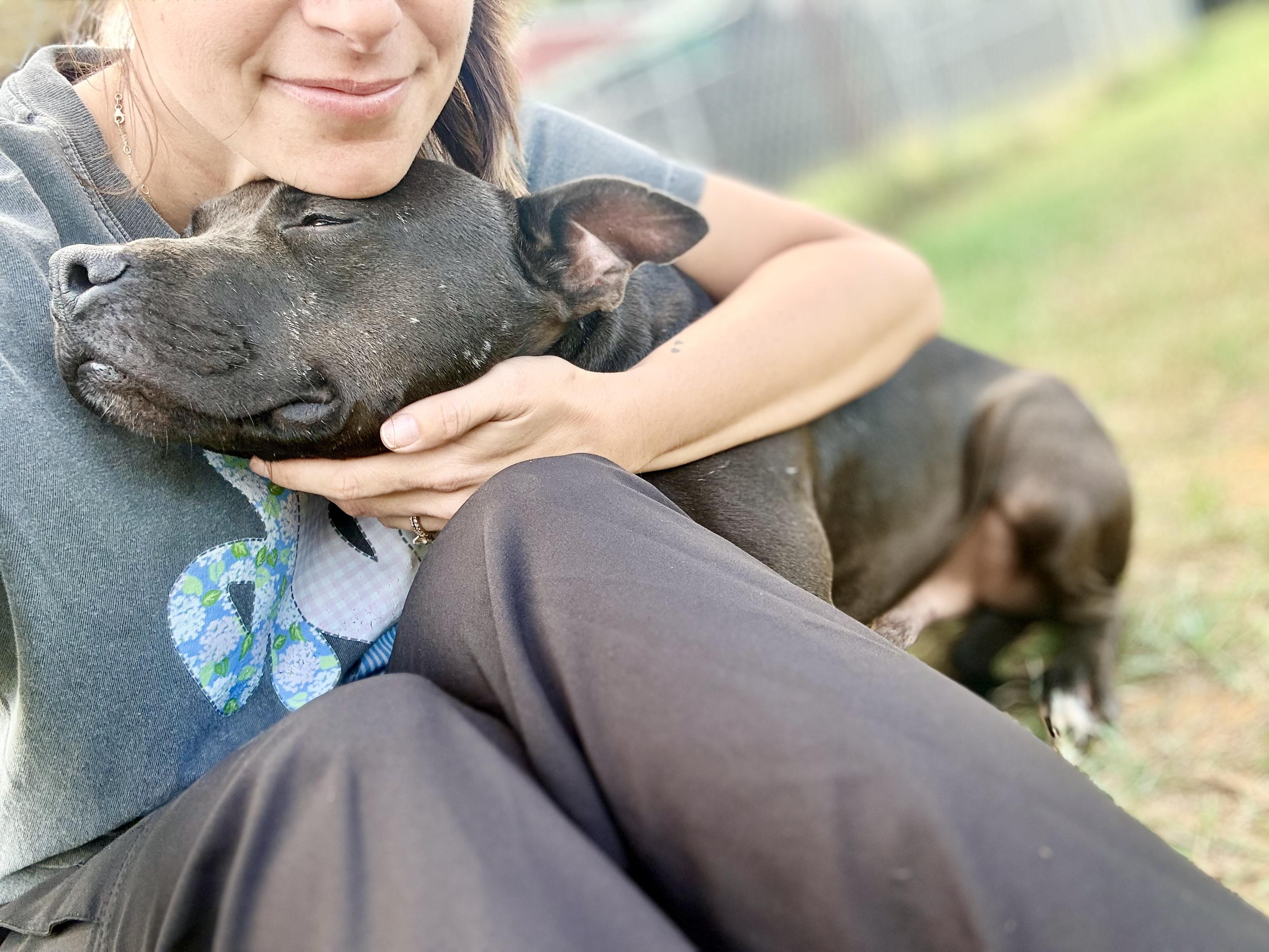Enlarge Bubba, a Adoptable Mixed Breed in Springhill, LA image 3/6