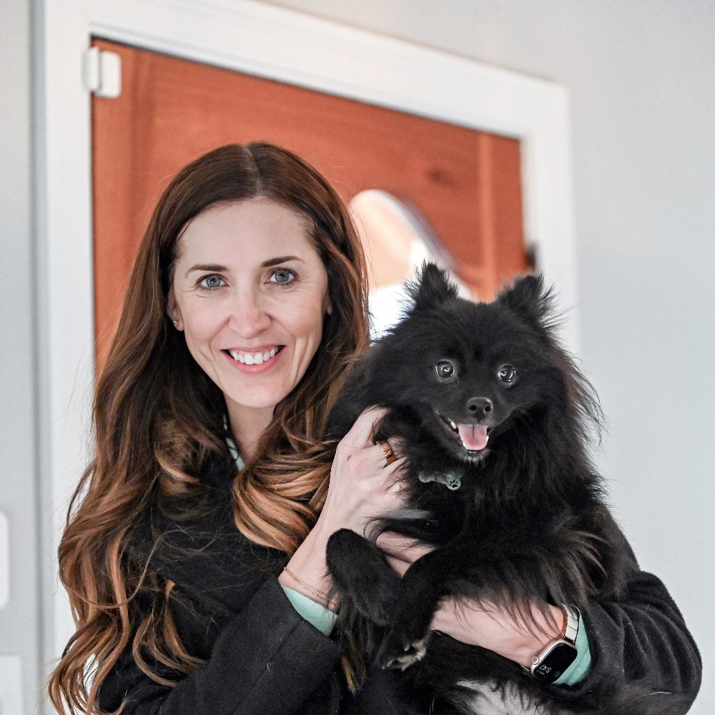 Enlarge Benson, a Adoptable Pomeranian in Wichita, KS image 2/6