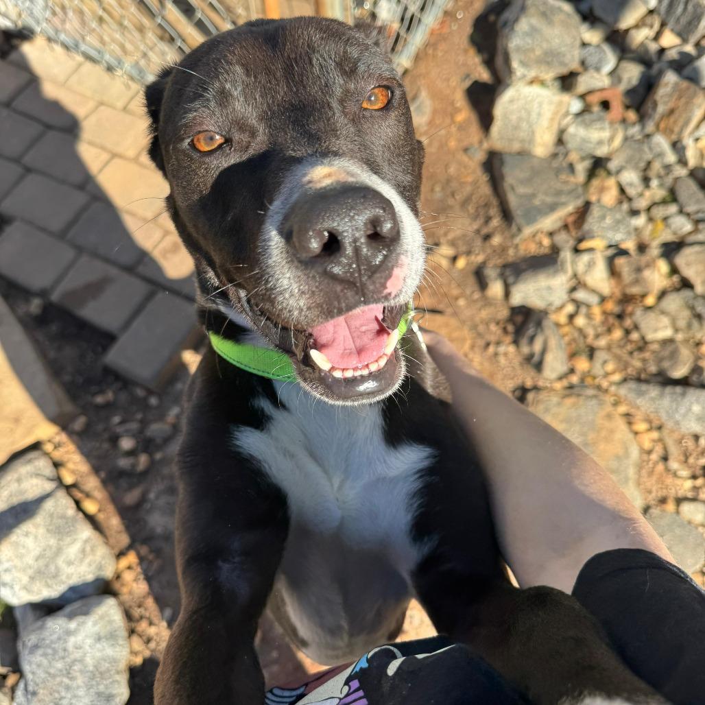 Cosmos 21561 — thumbnail 2