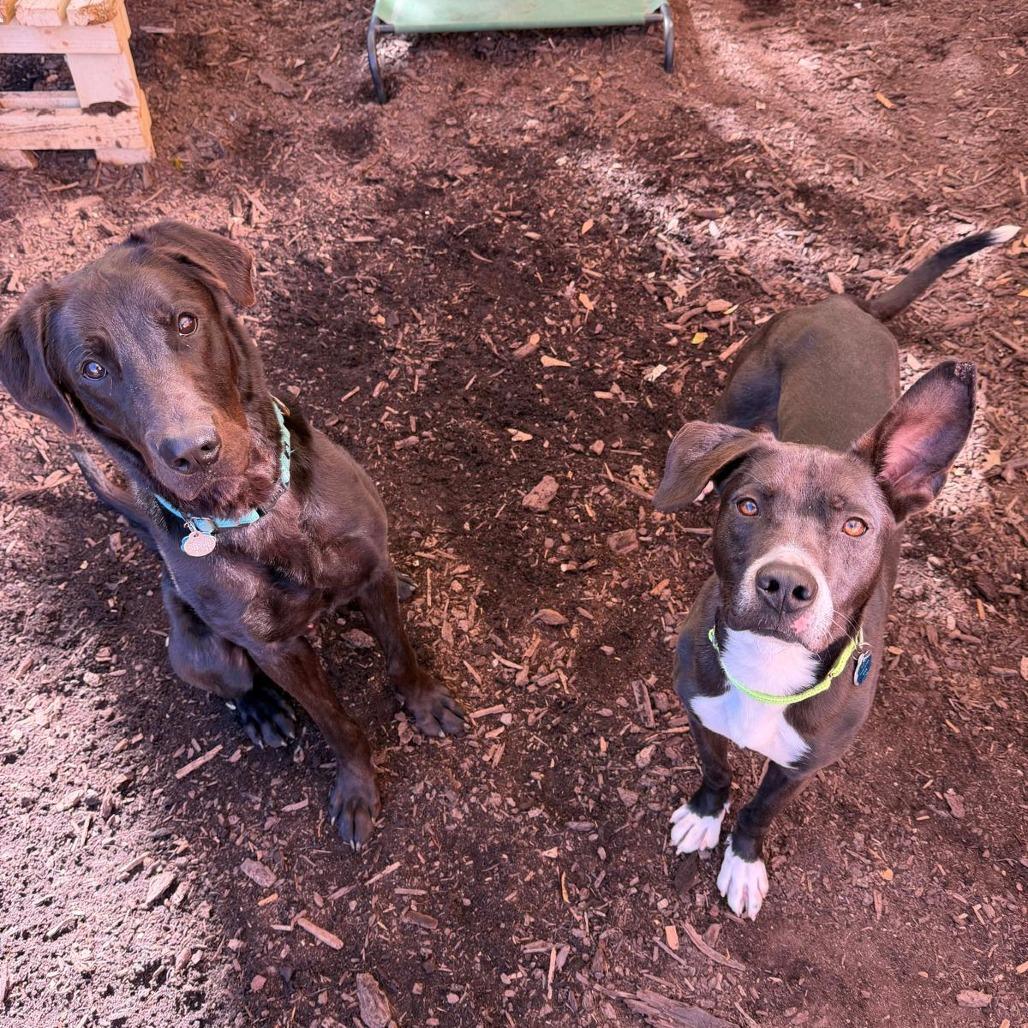 Cosmos 21561 — thumbnail 3