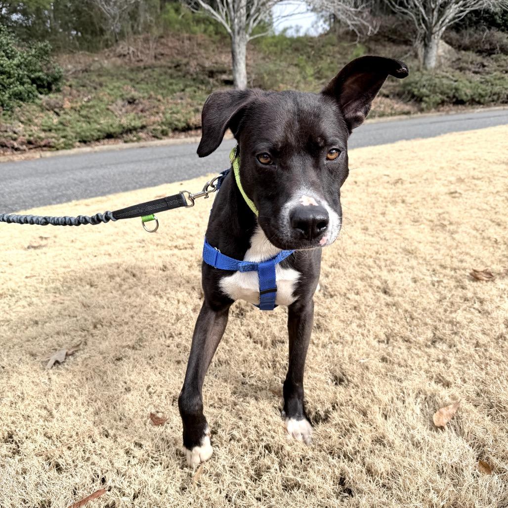 Cosmos 21561 — thumbnail 4