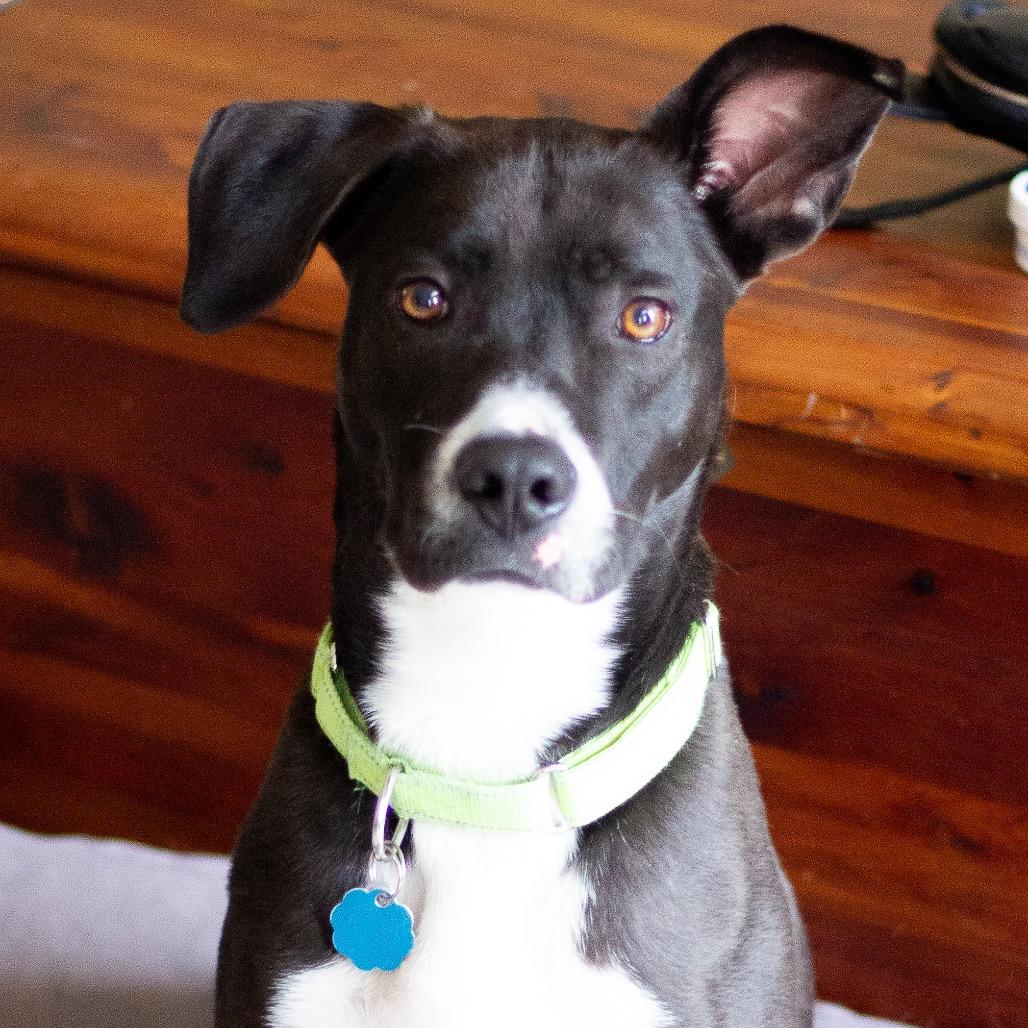 Cosmos 21561 — thumbnail 5