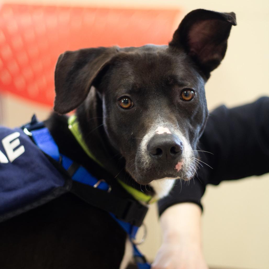 Cosmos 21561 — thumbnail 6