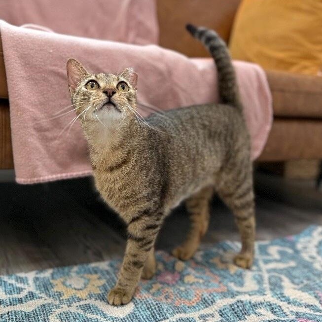 Berlin — thumbnail 4