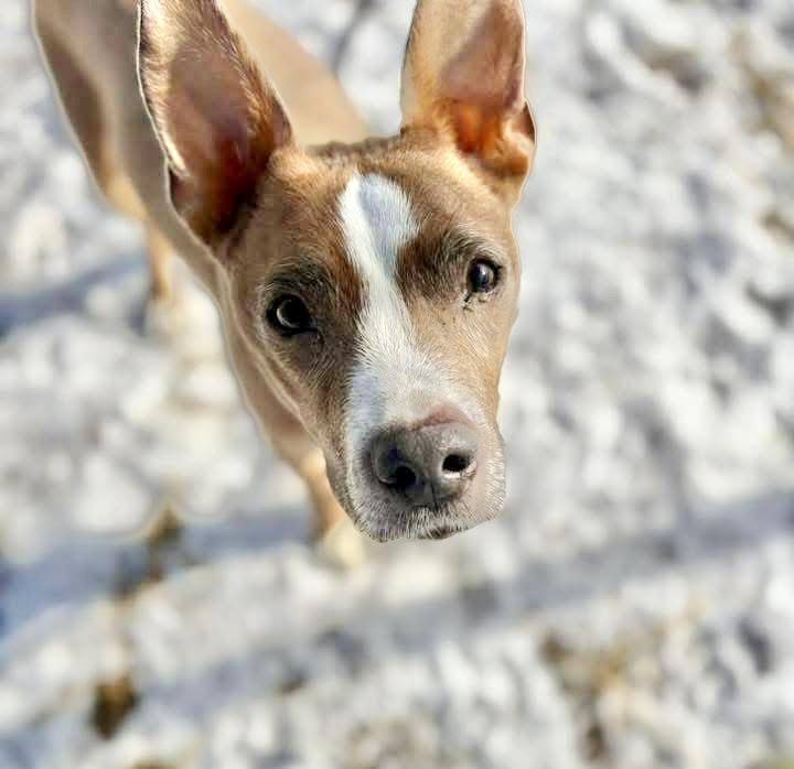 Gabby — thumbnail 3