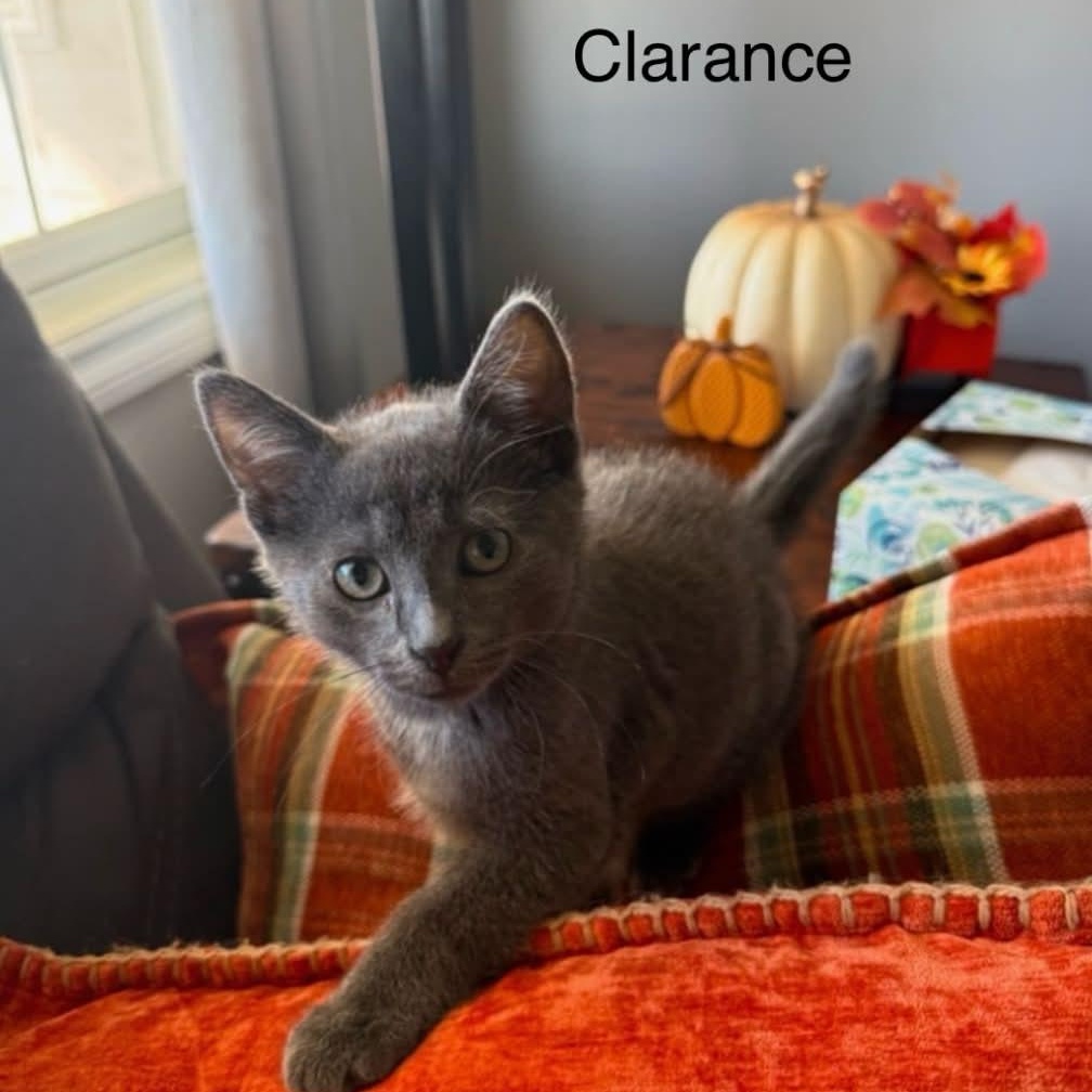 Clarance photo
