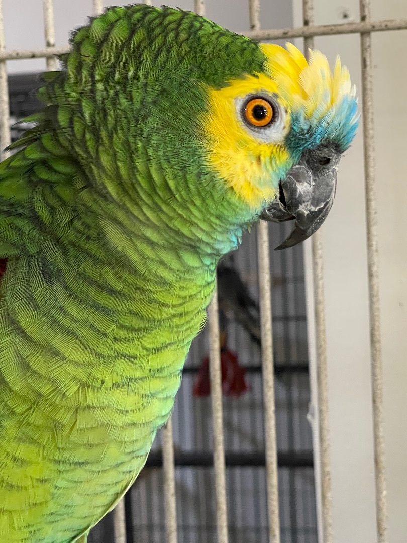 Buster photo 1