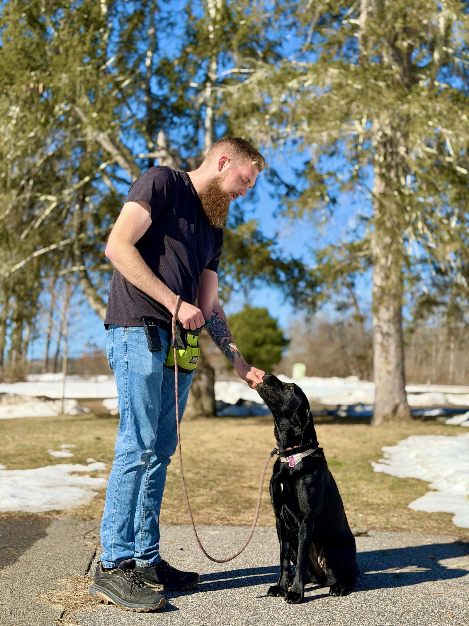 Enlarge Moose, a Adopted Labrador Retriever in West Cornwall, CT image 2/3