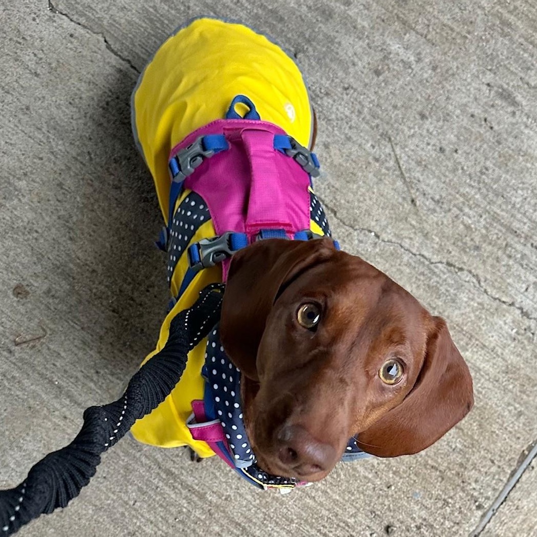 Mary Grace thumbnail 3