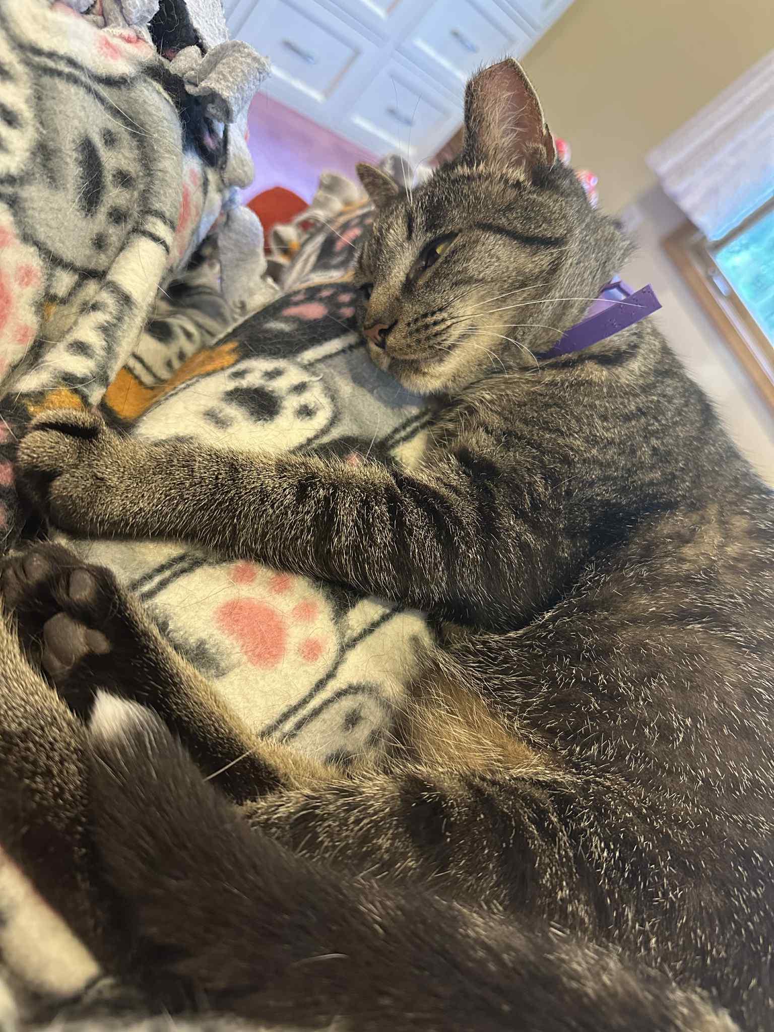 Zeke