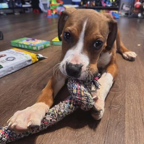 Butters — thumbnail 3